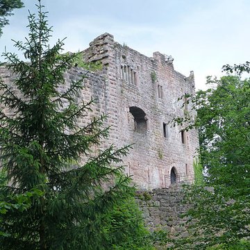 Ruines du château de Birkenfels