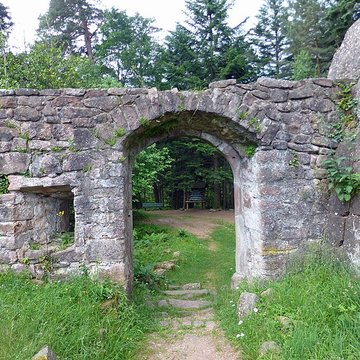 Ruines du château de Birkenfels