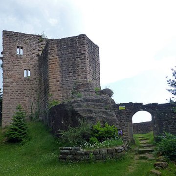 Ruines du château de Birkenfels