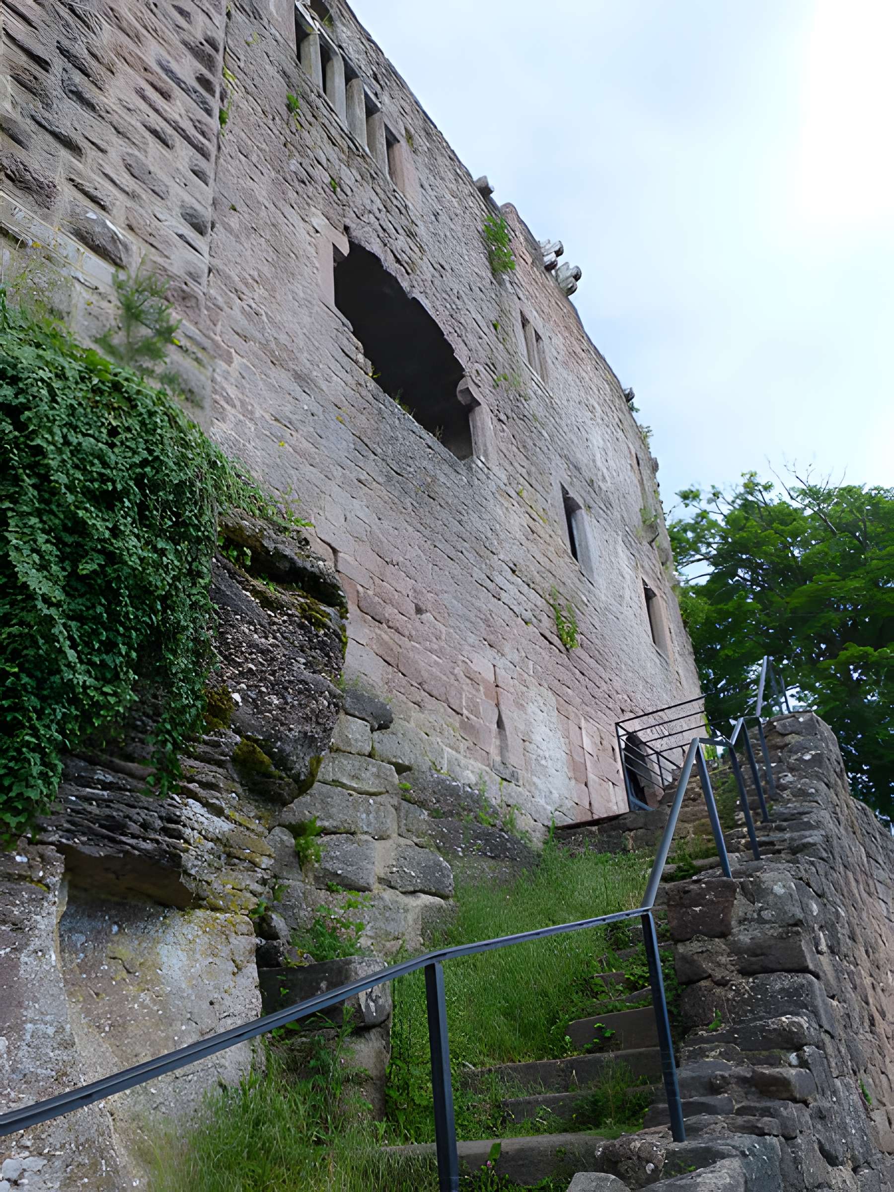 Ruines du château de Birkenfels