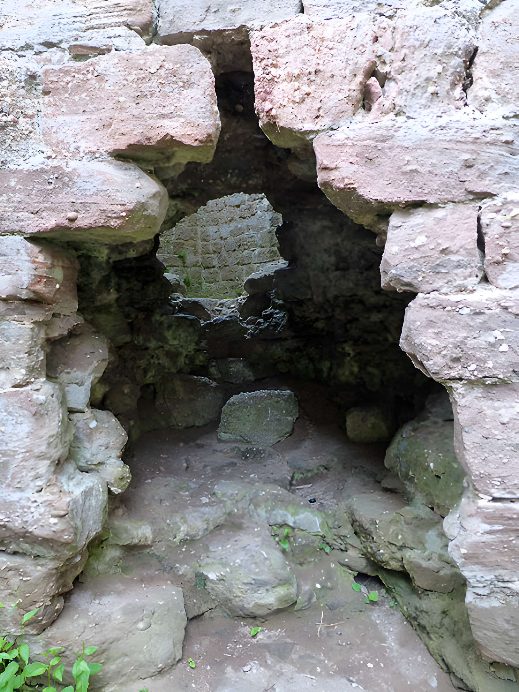 Ruines du château de Birkenfels