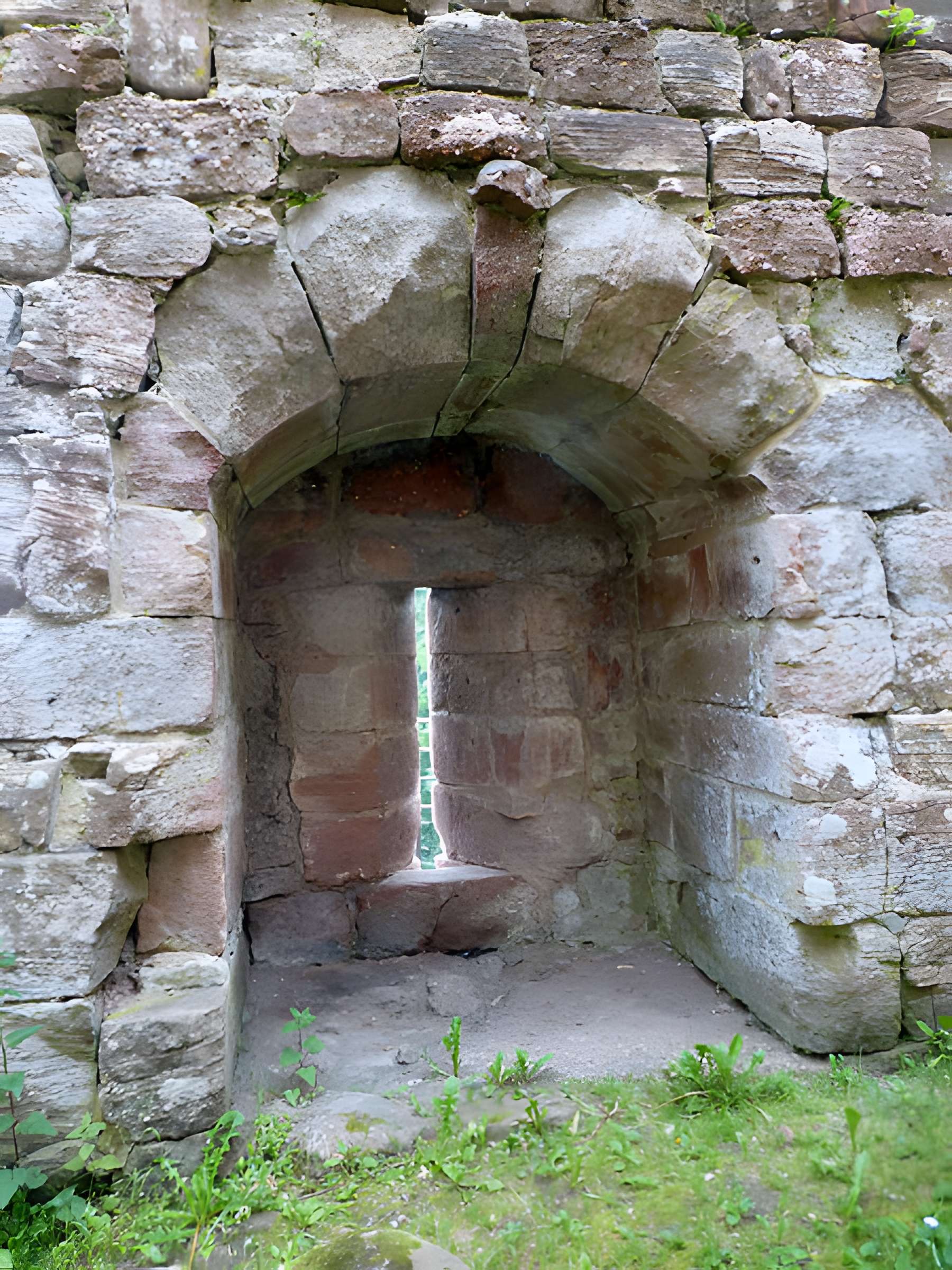 Ruines du château de Birkenfels