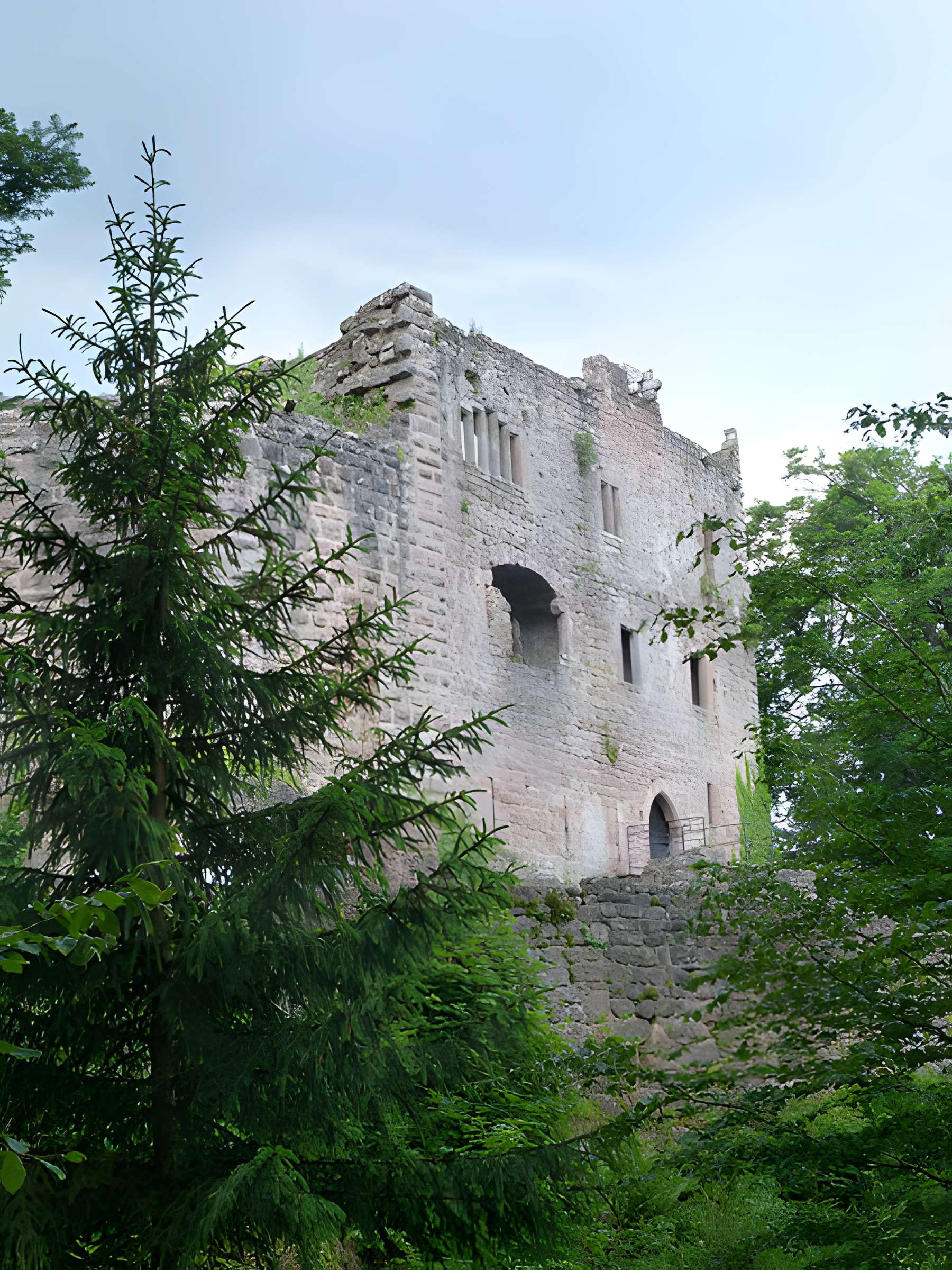 Ruines du château de Birkenfels