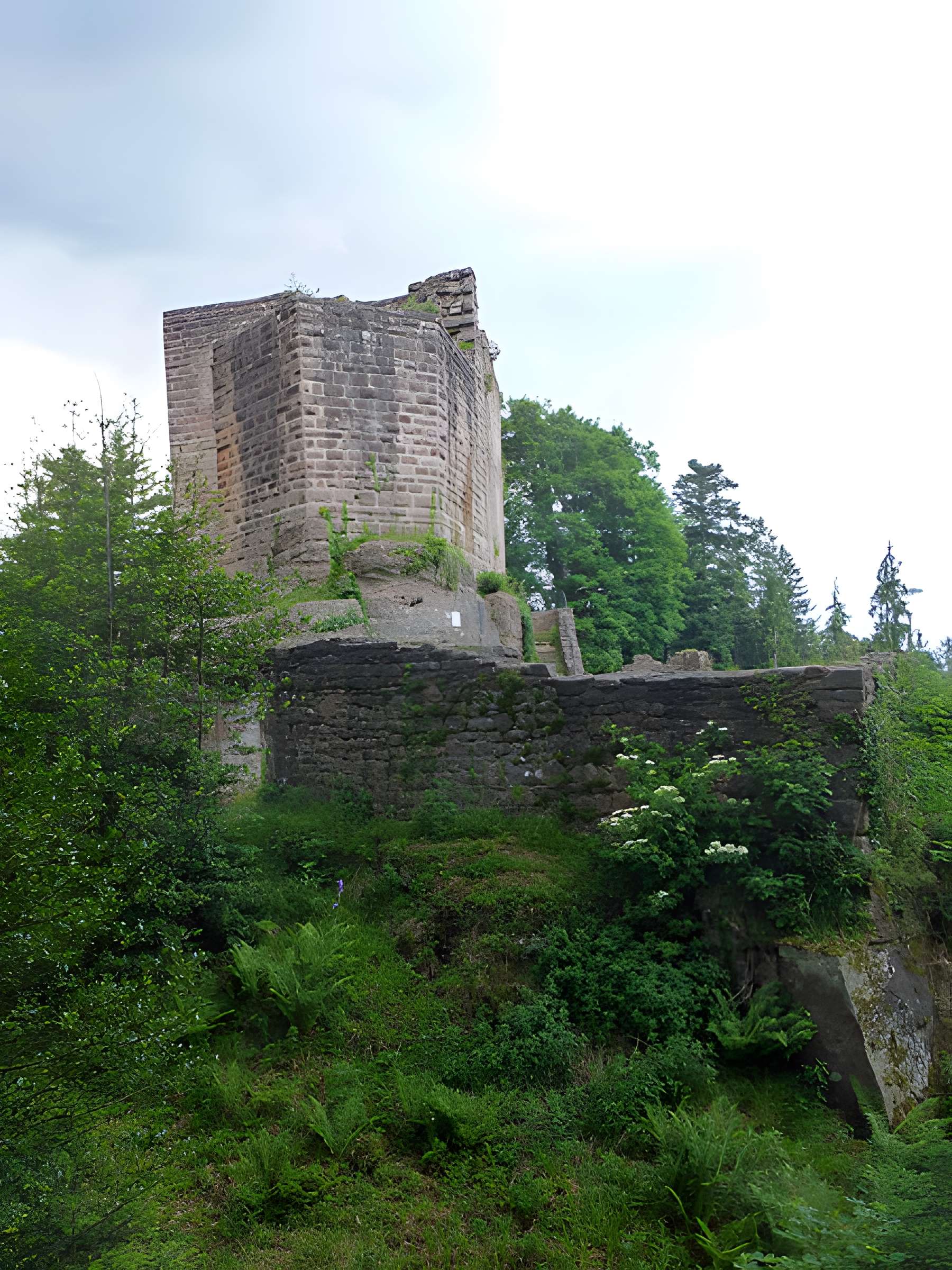 Ruines du château de Birkenfels