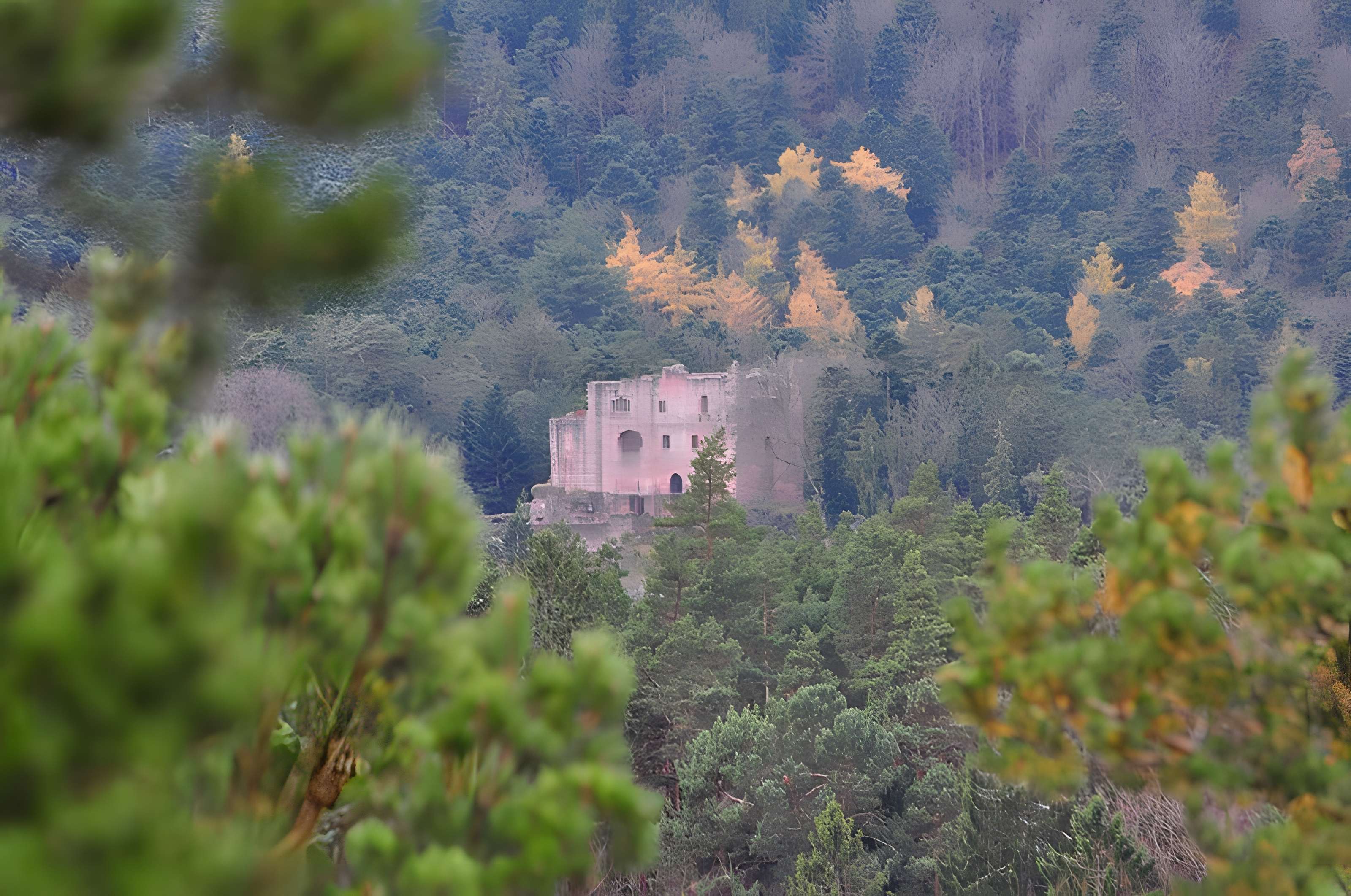 Ruines du château de Birkenfels