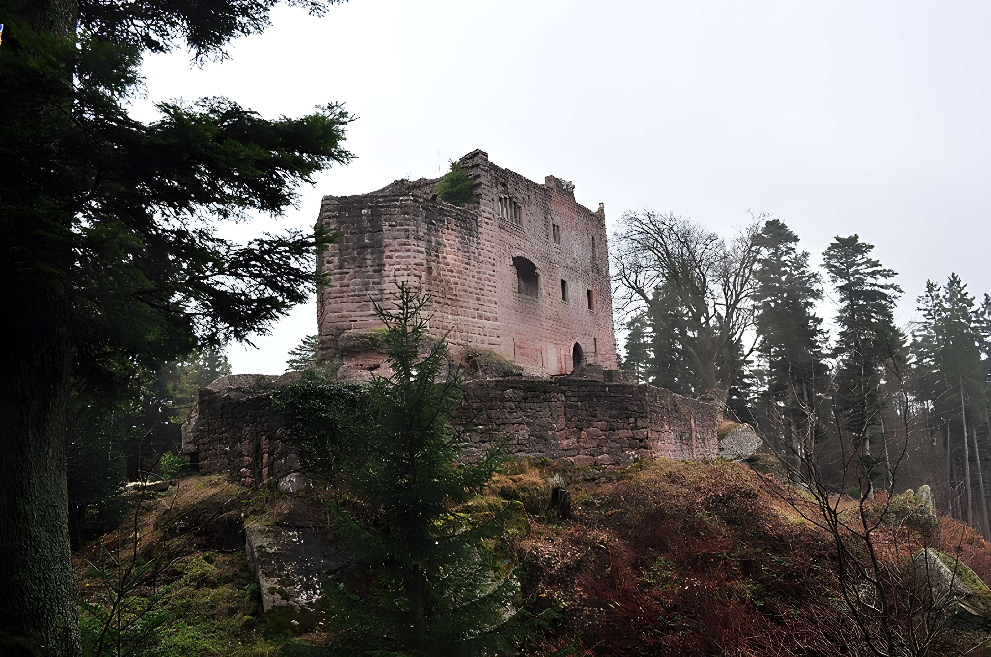 Ruines du château de Birkenfels