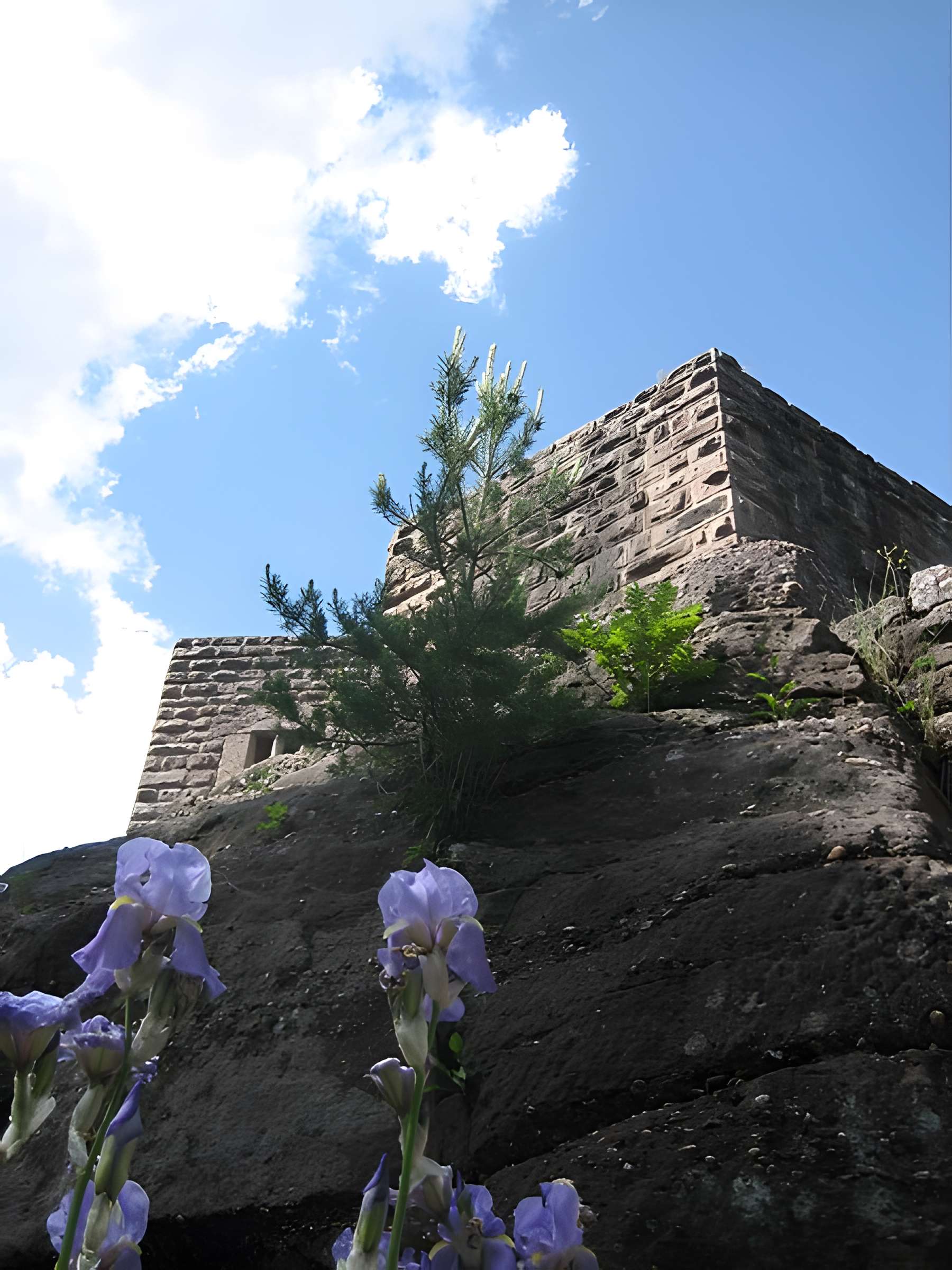 Ruines du château de Birkenfels