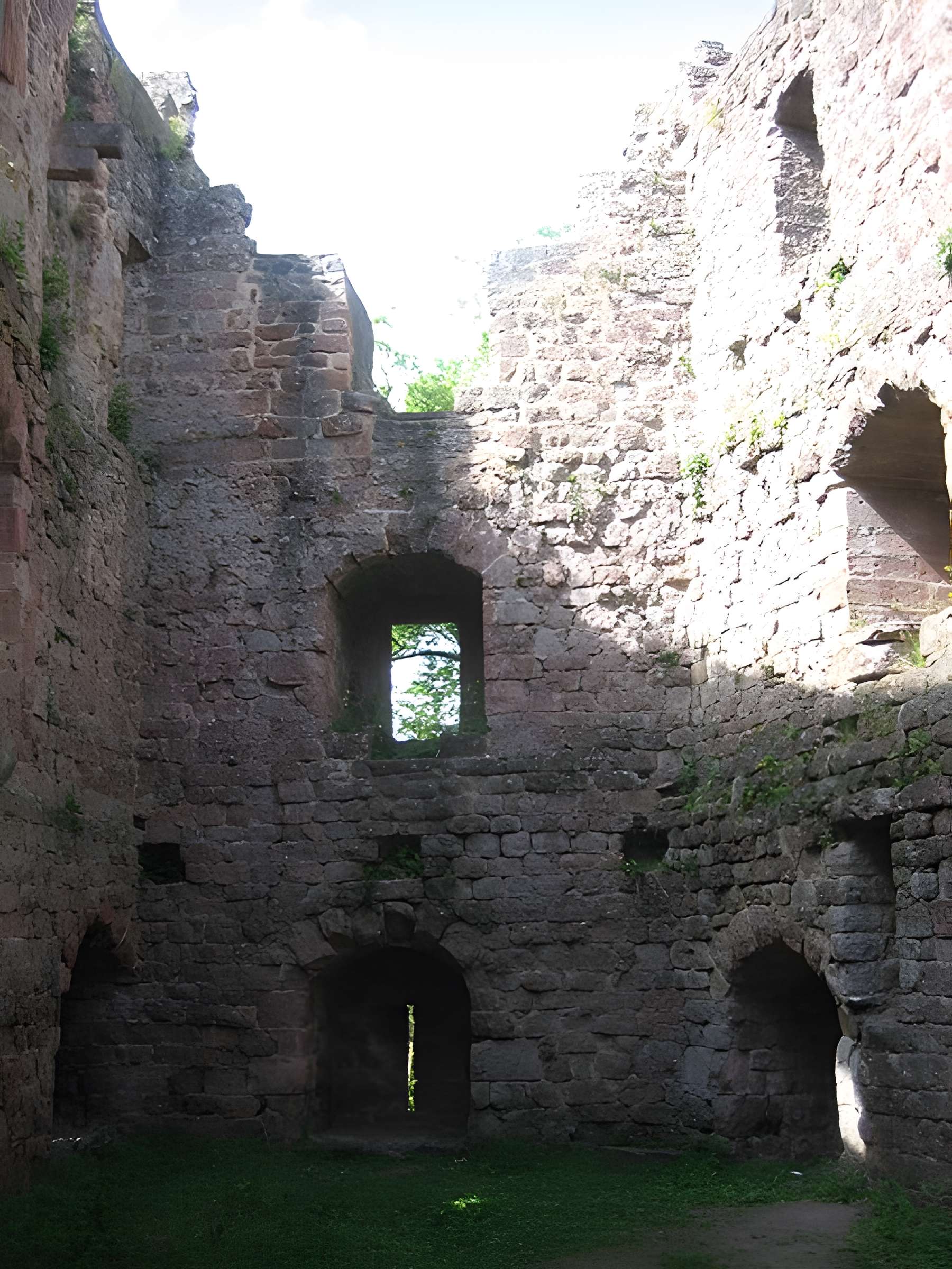 Ruines du château de Birkenfels