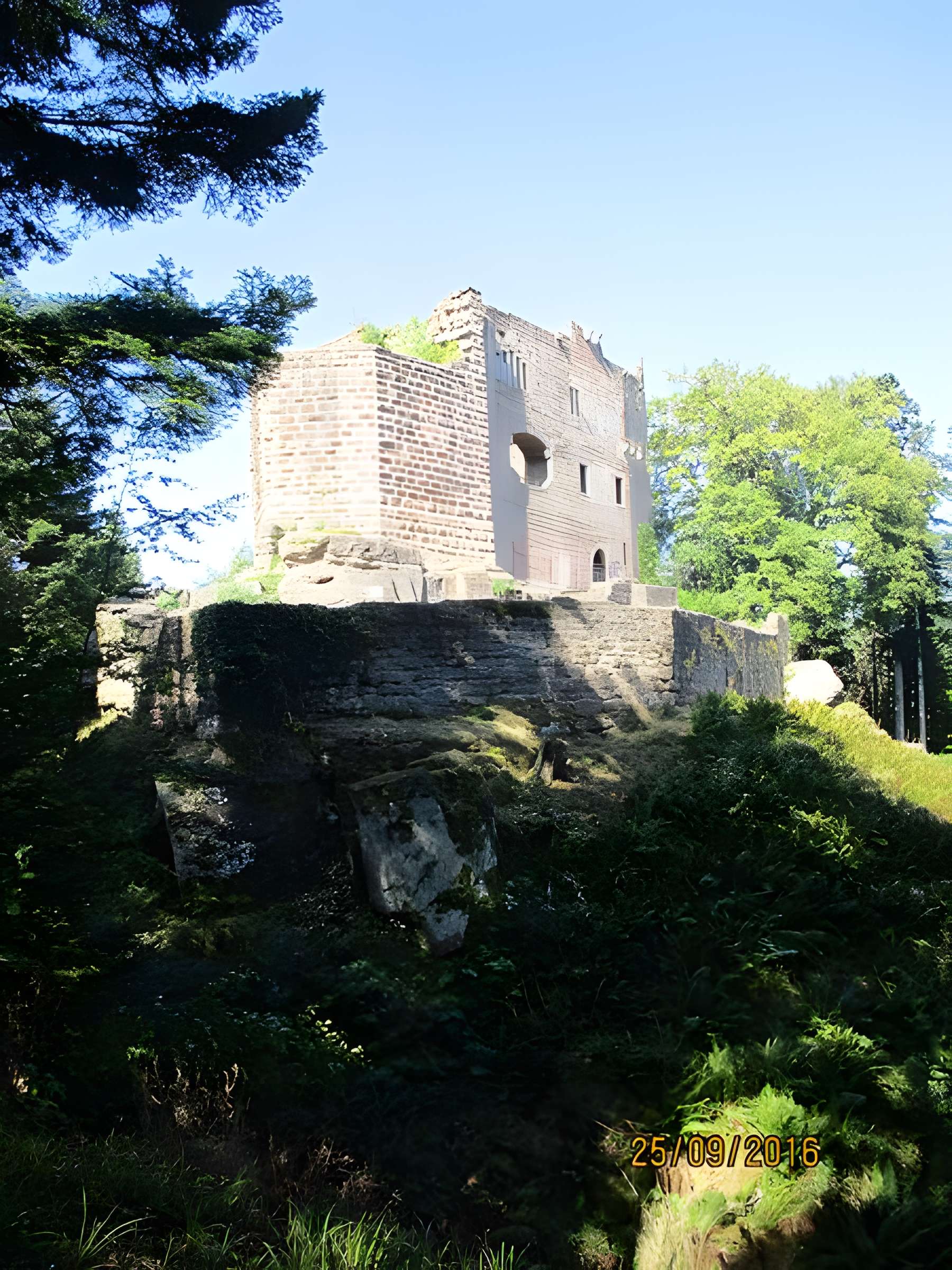 Ruines du château de Birkenfels