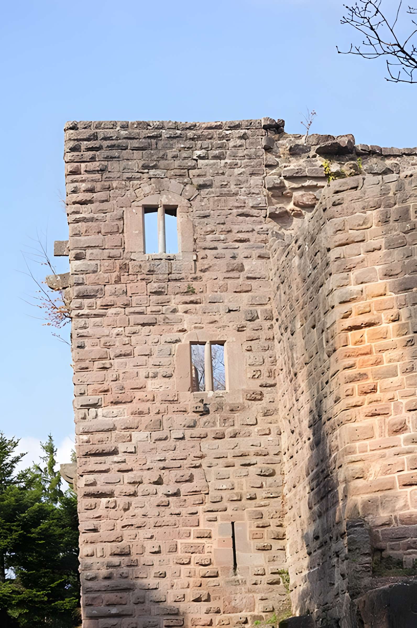 Ruines du château de Birkenfels