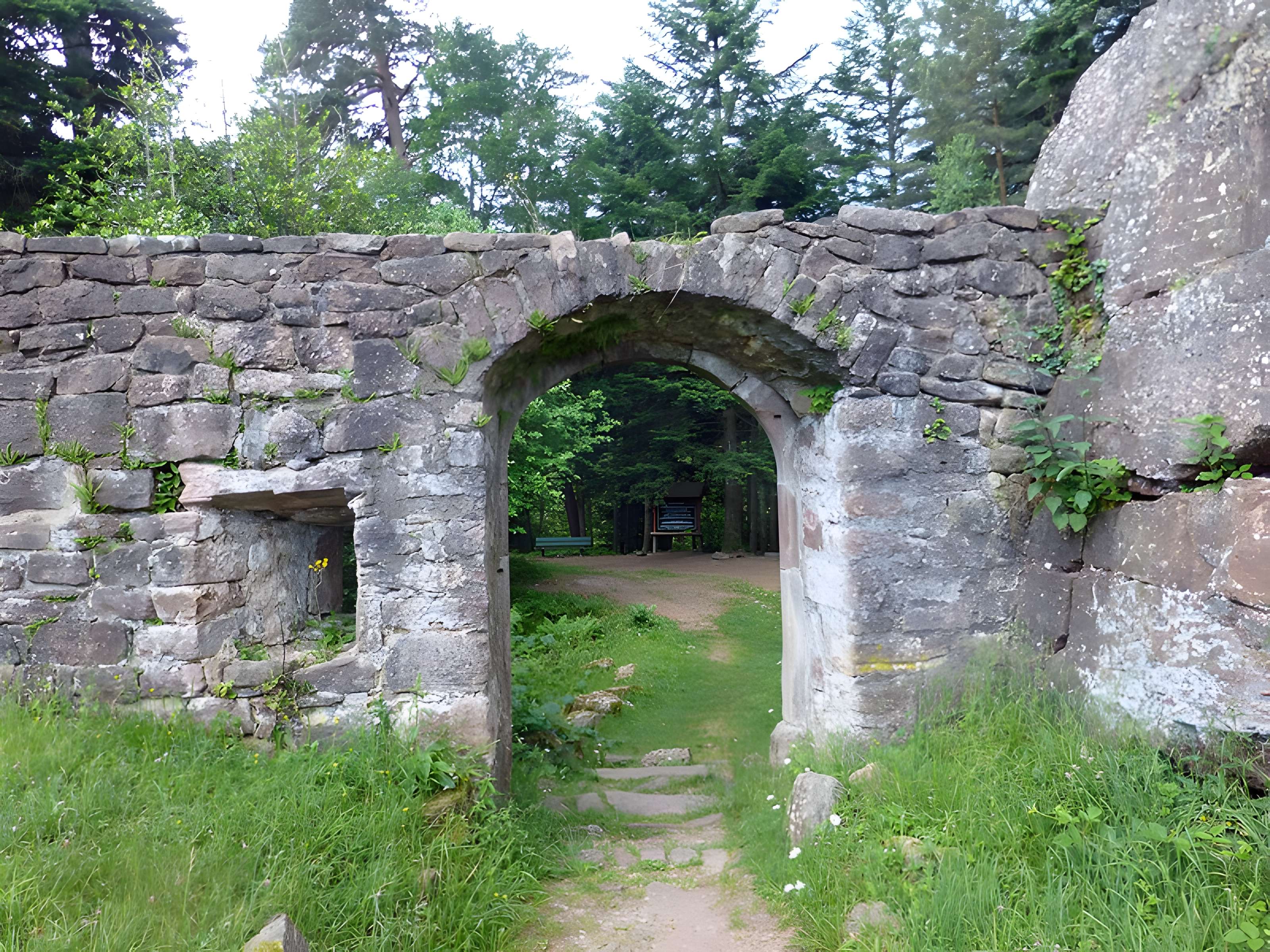 Ruines du château de Birkenfels