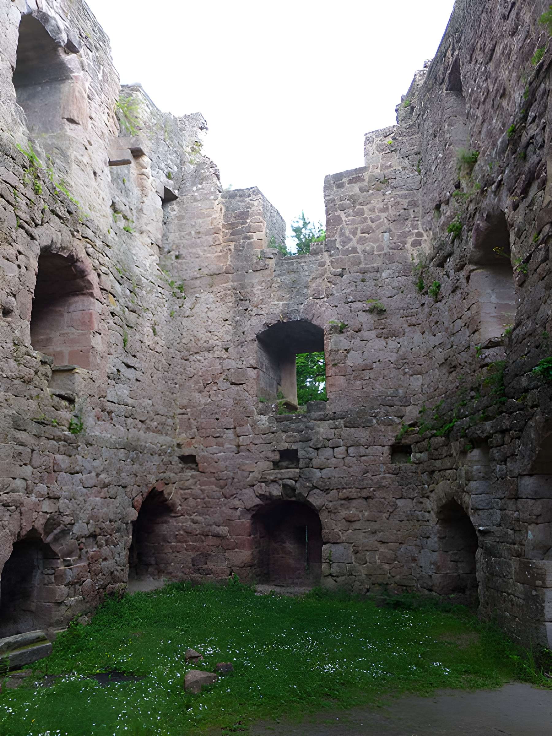 Ruines du château de Birkenfels