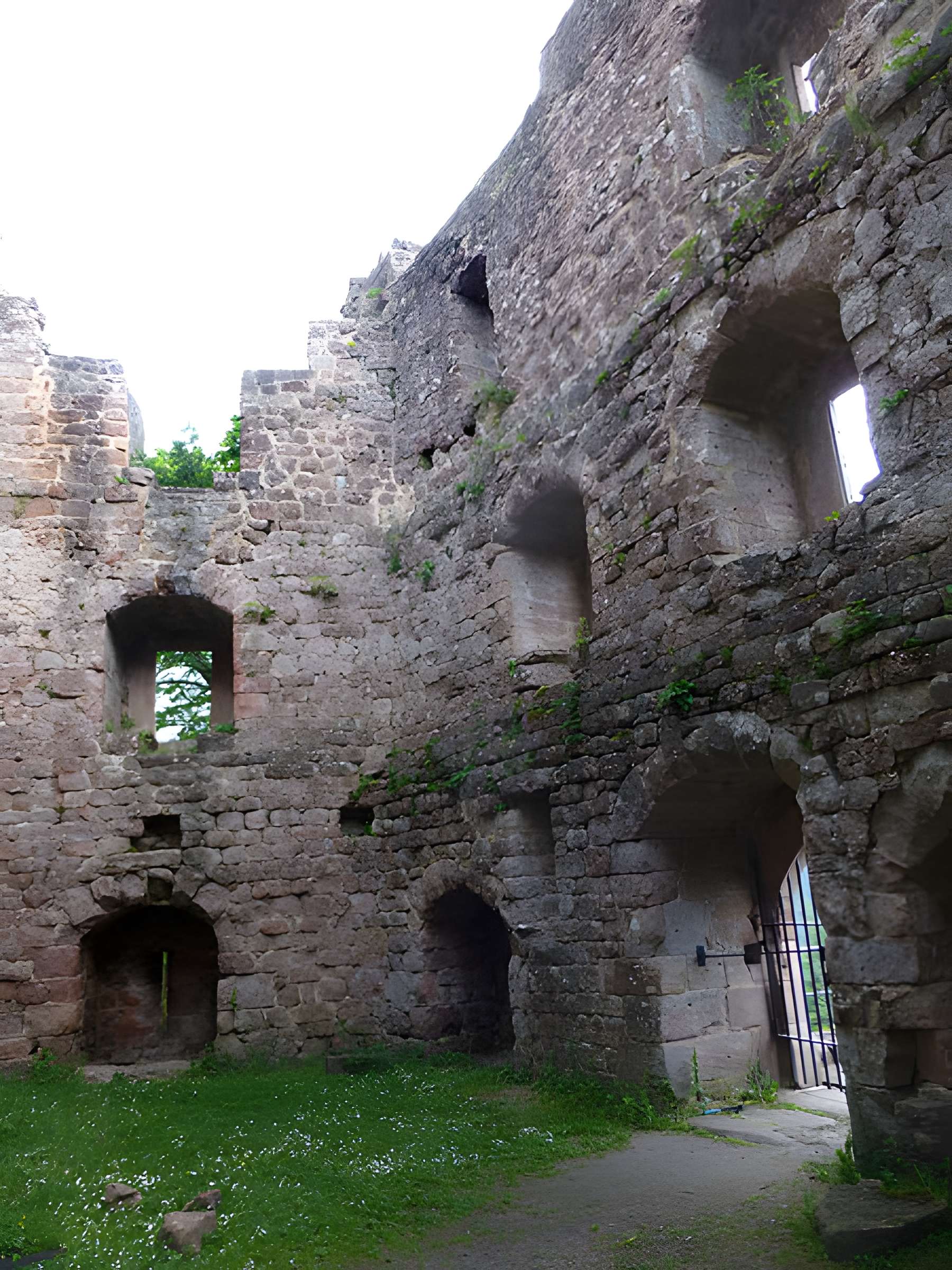 Ruines du château de Birkenfels