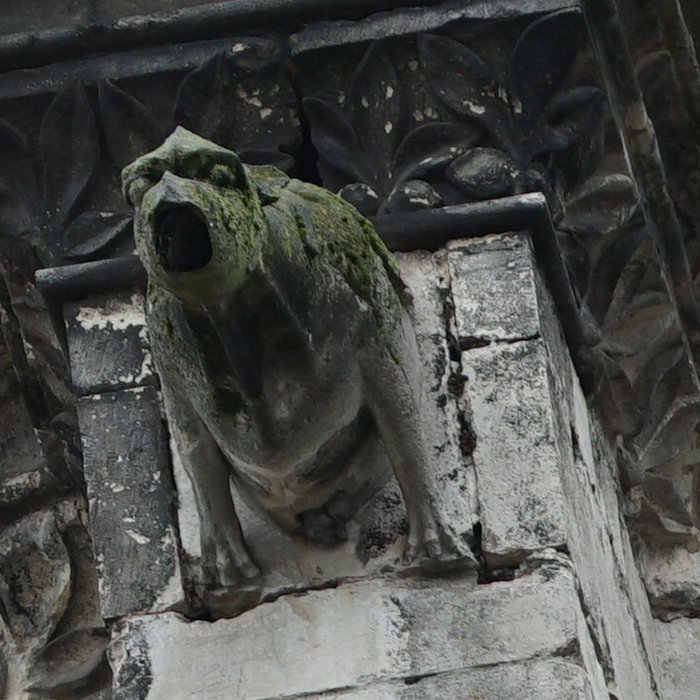 Photo de Cathédrale Saint-Étienne de Toul