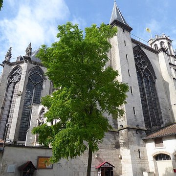 Cathédrale Saint-Étienne de Toul