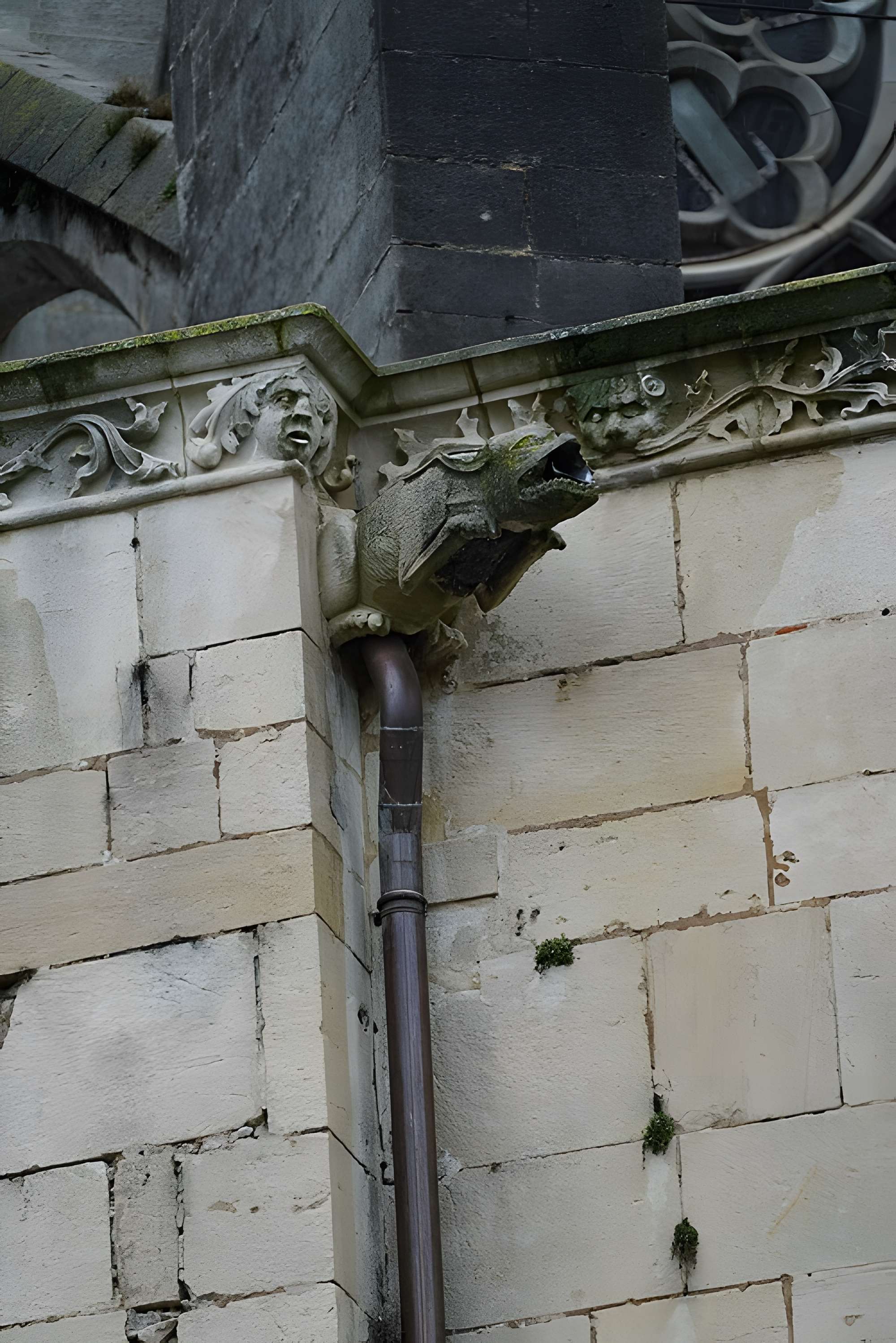 Cathédrale Saint-Étienne de Toul