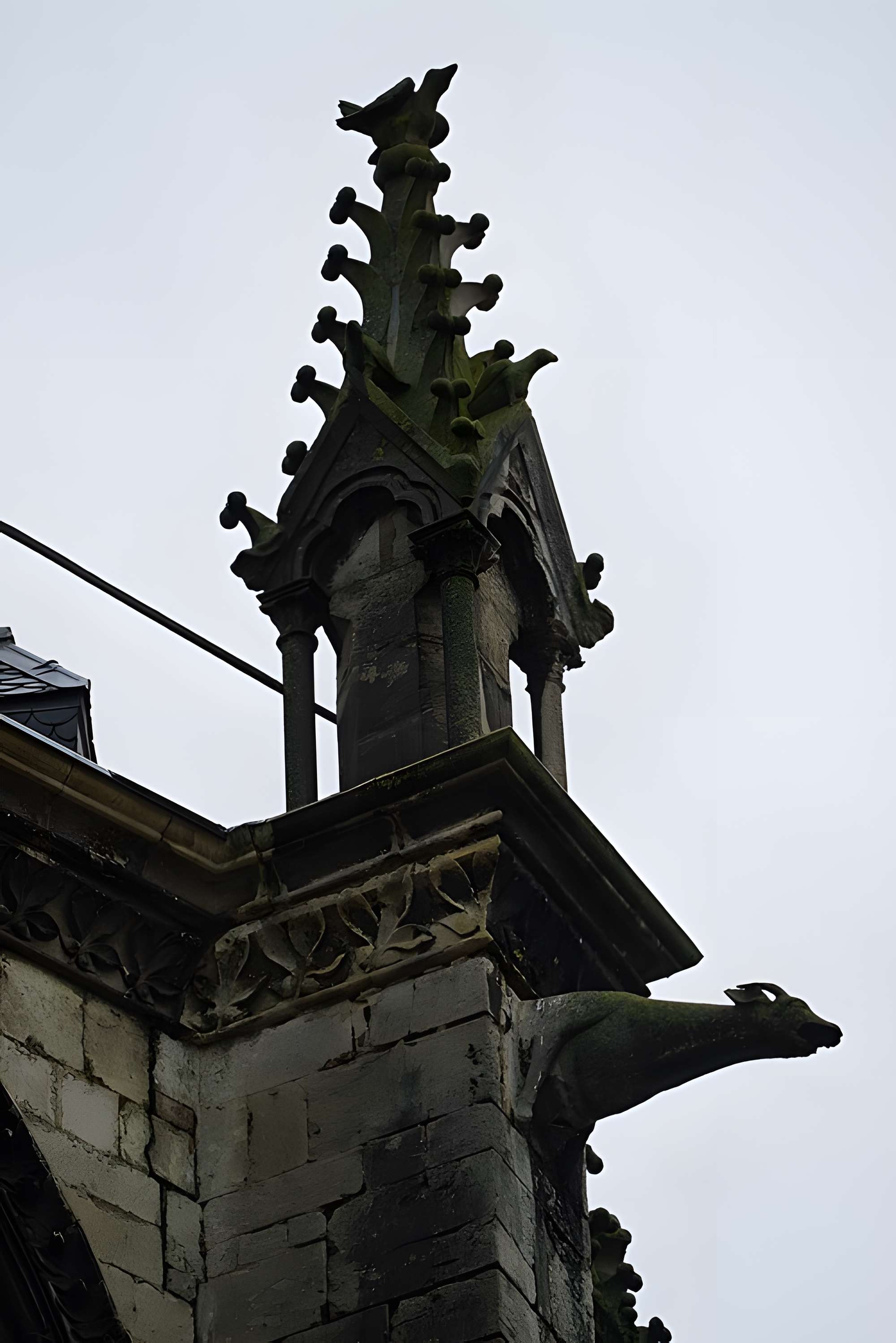 Cathédrale Saint-Étienne de Toul