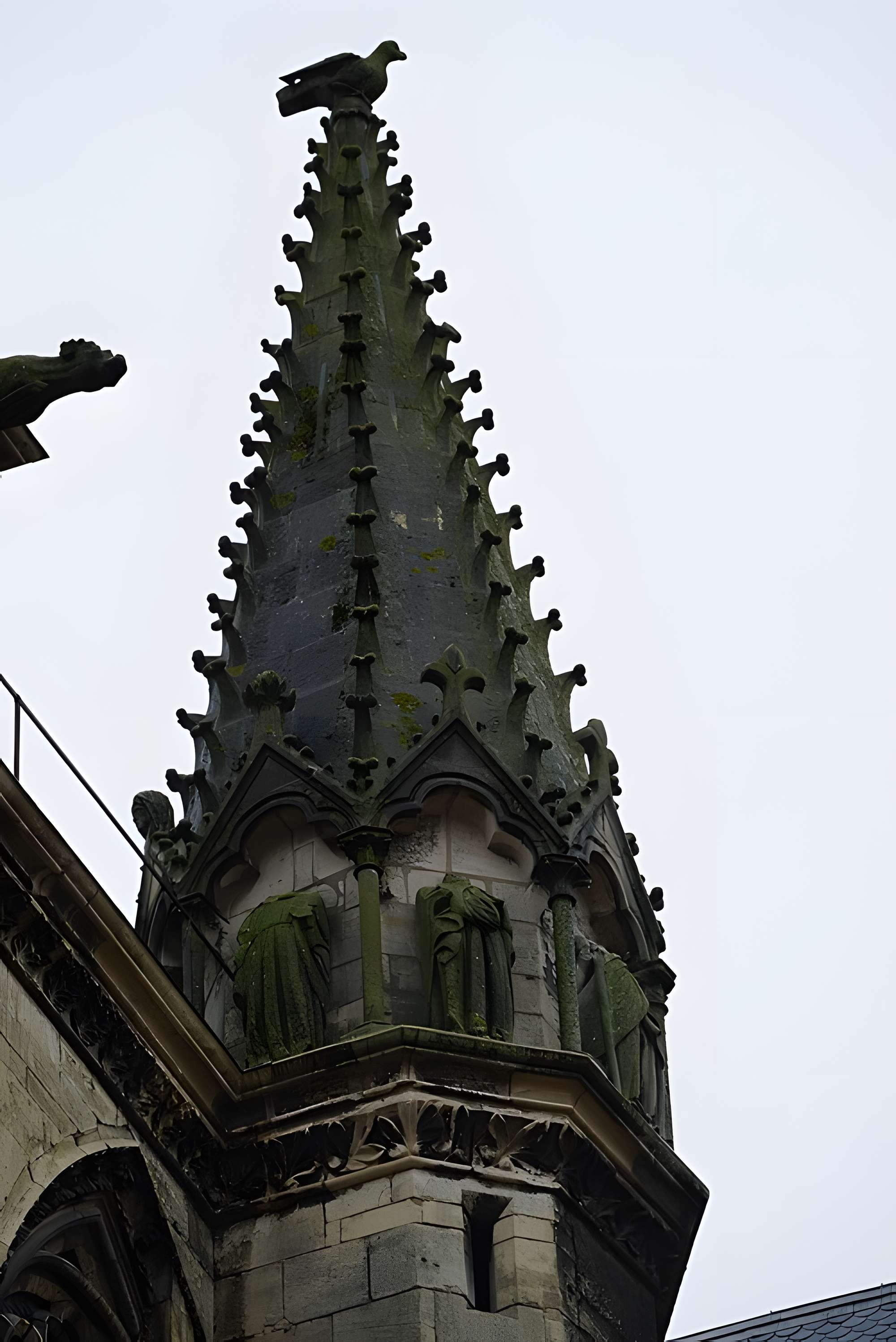 Cathédrale Saint-Étienne de Toul