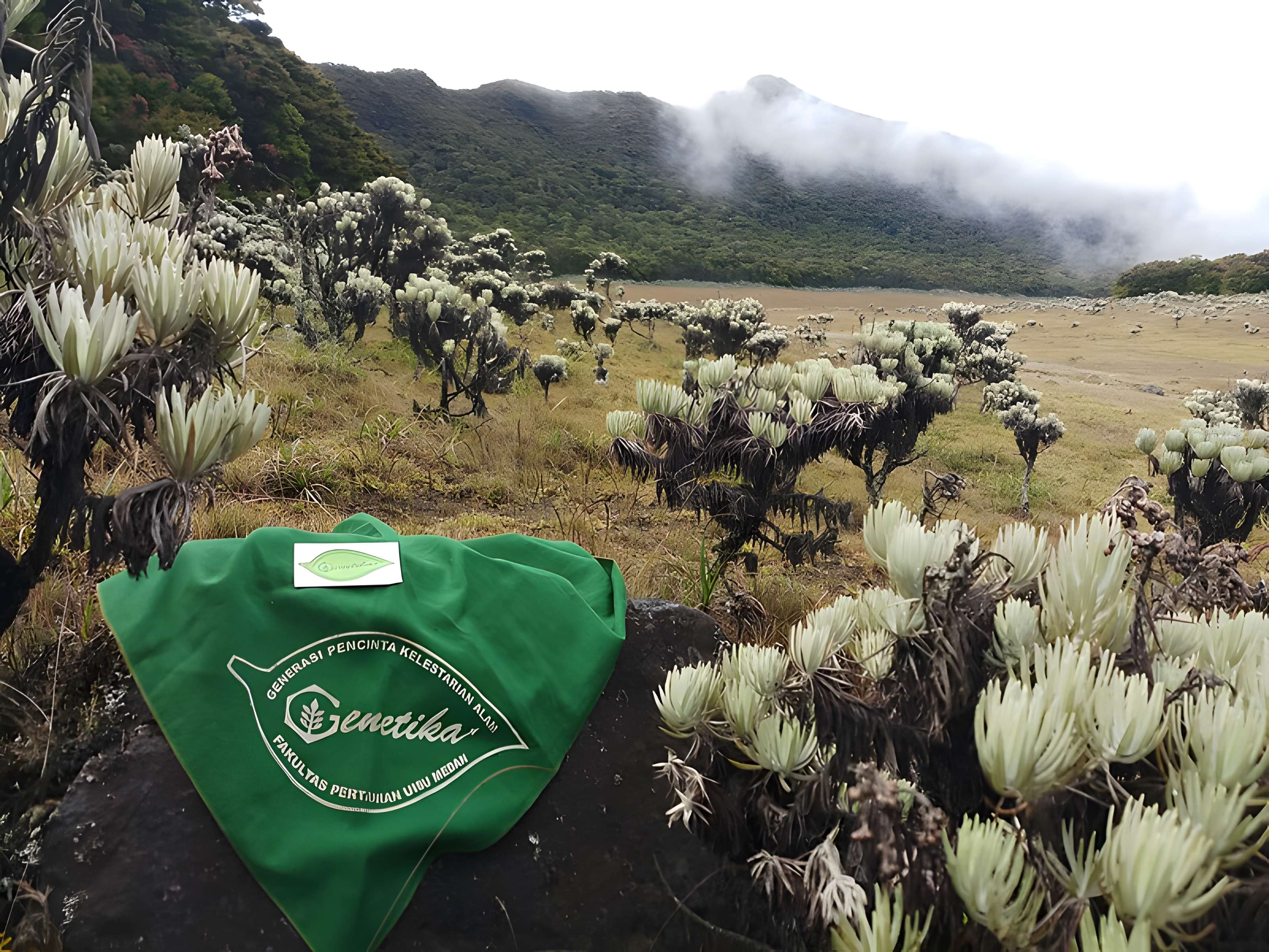 Observatoire d'astronomie du Montgros