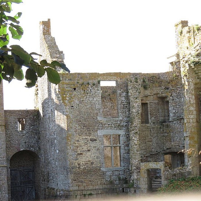 Photo de Château du Bois Thibault
