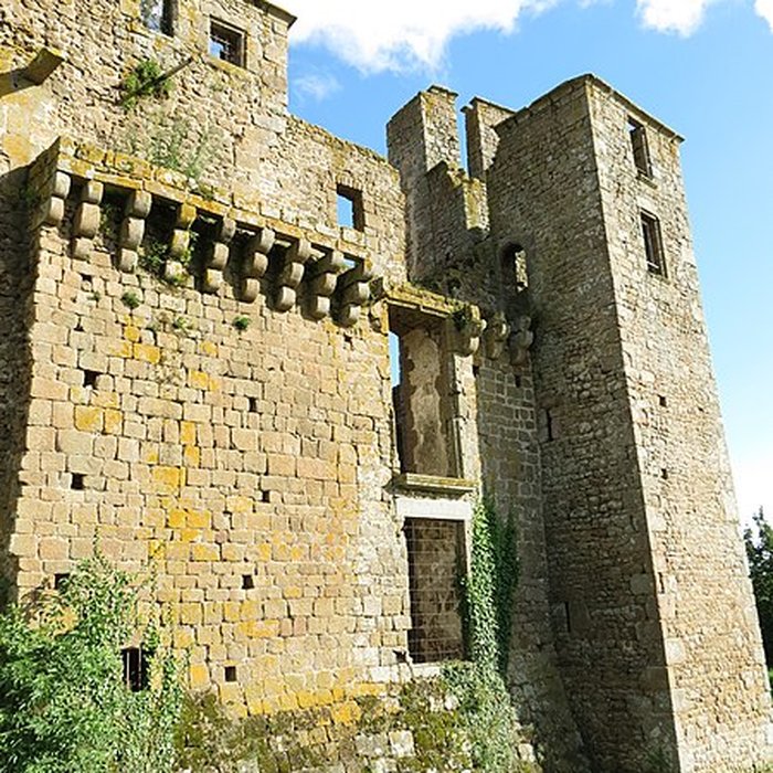 Photo de Château du Bois Thibault