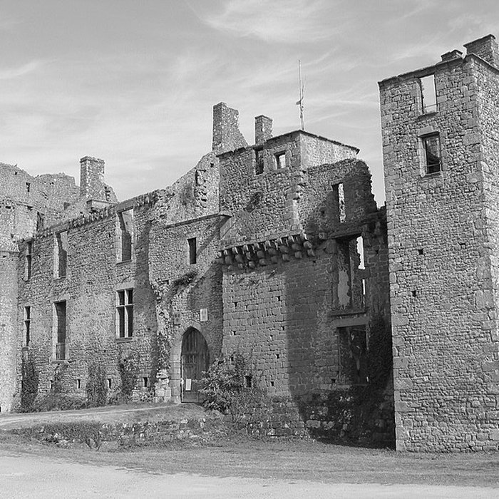 Photo de Château du Bois Thibault