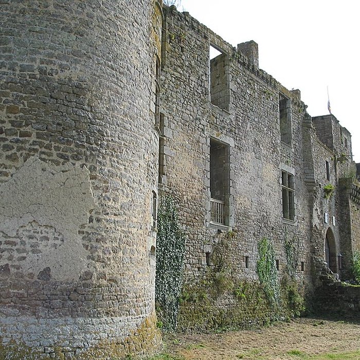 Photo de Château du Bois Thibault
