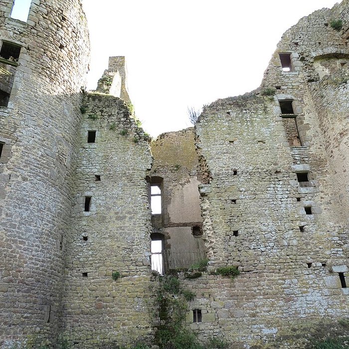 Photo de Château du Bois Thibault