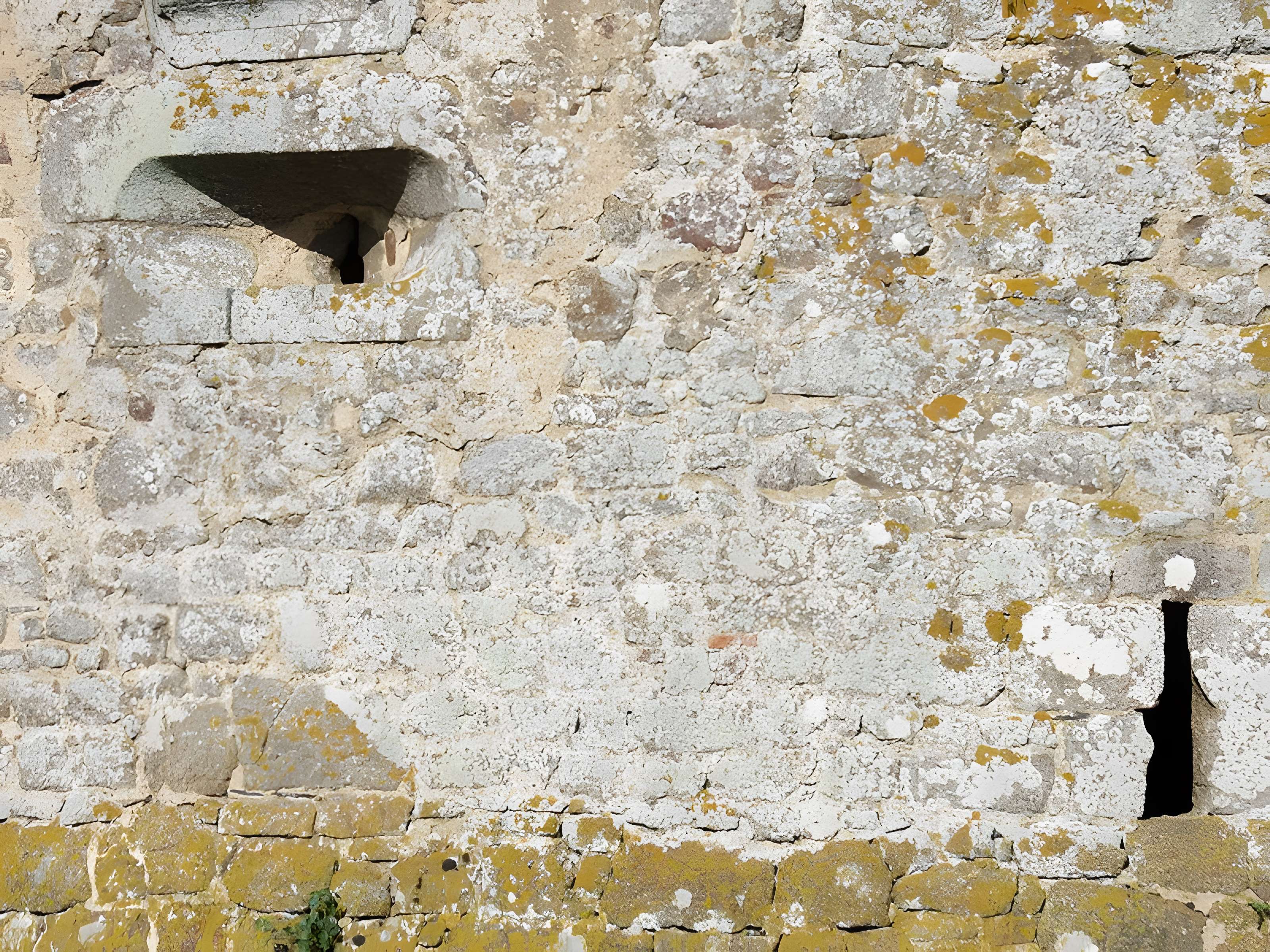 Château du Bois Thibault