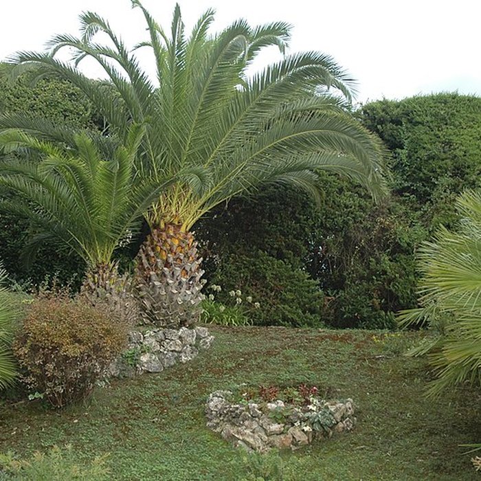 Photo de Villa le Bosquet du peintre Pierre Bonnard