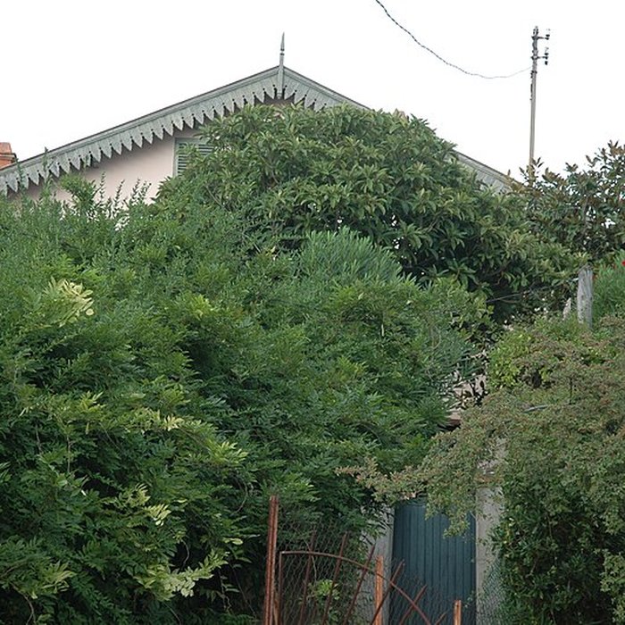 Photo de Villa le Bosquet du peintre Pierre Bonnard