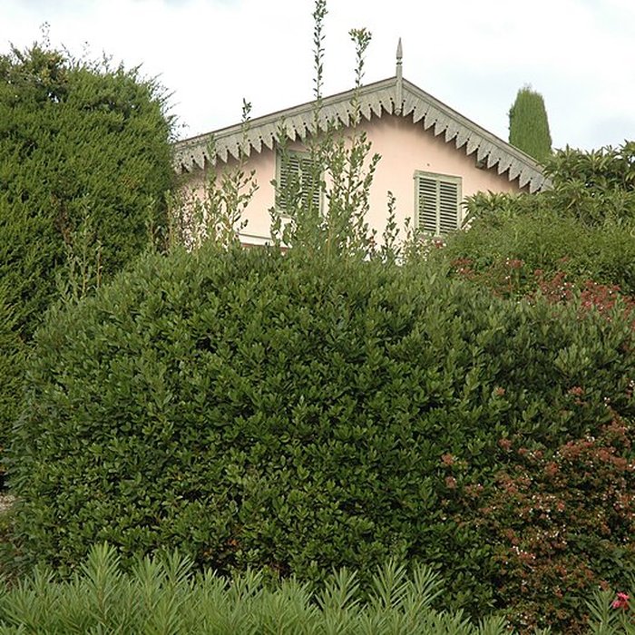 Photo de Villa le Bosquet du peintre Pierre Bonnard