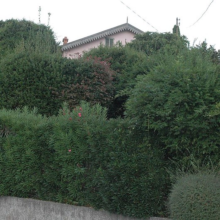 Photo de Villa le Bosquet du peintre Pierre Bonnard
