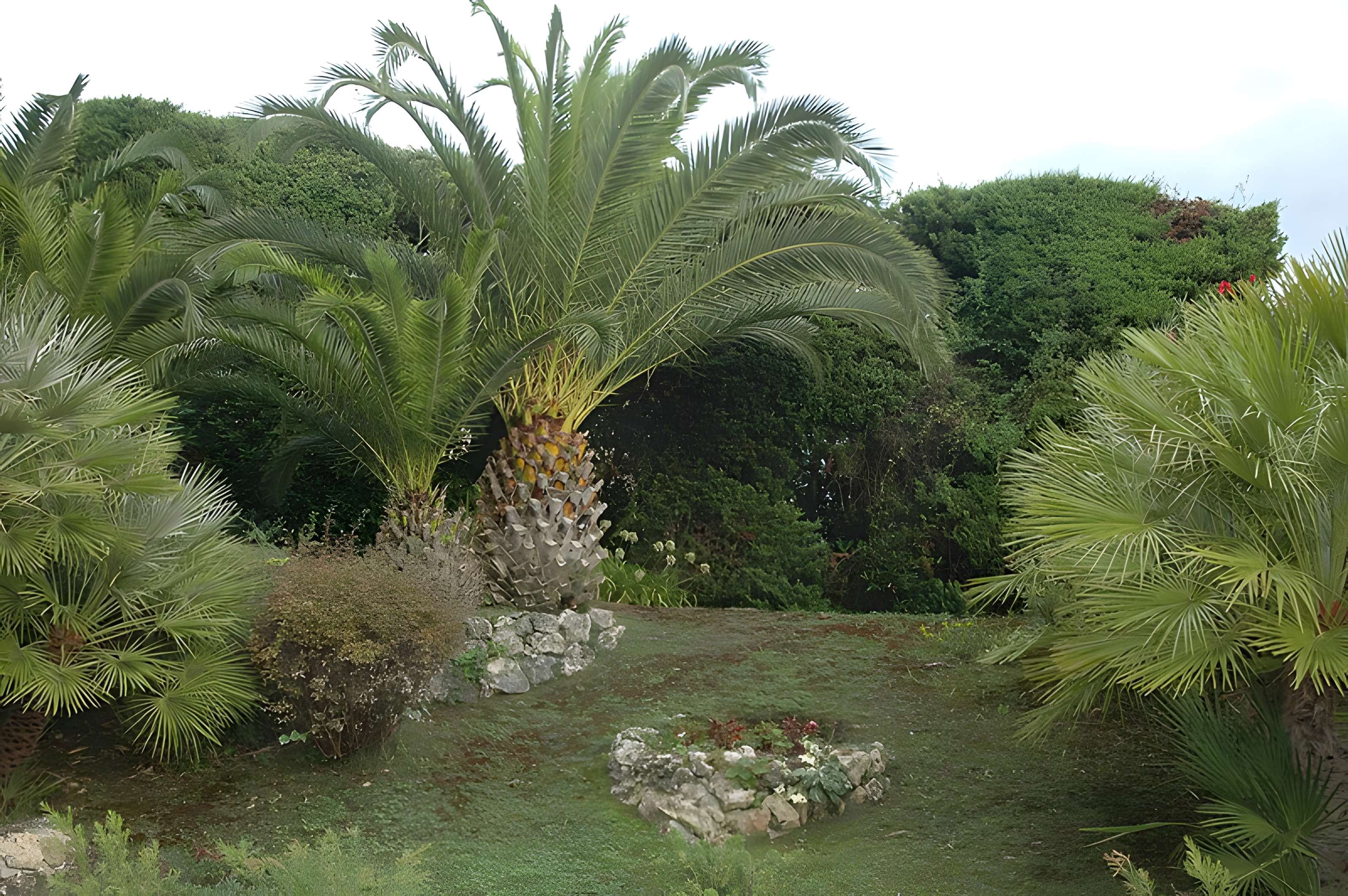 Villa le Bosquet du peintre Pierre Bonnard