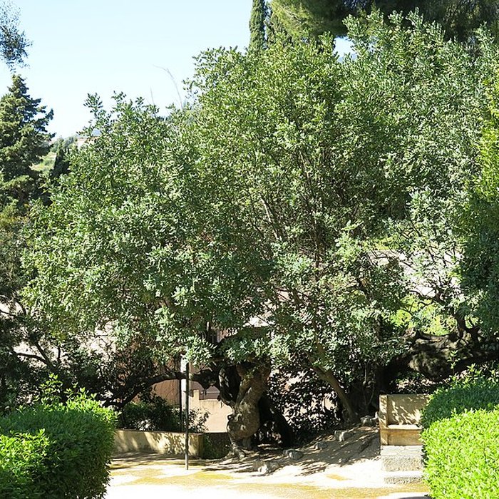 Photo de Domaine des Colombières