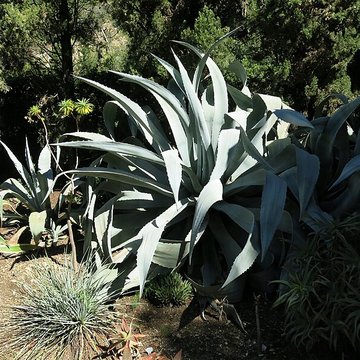 Domaine des Colombières