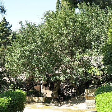 Domaine des Colombières