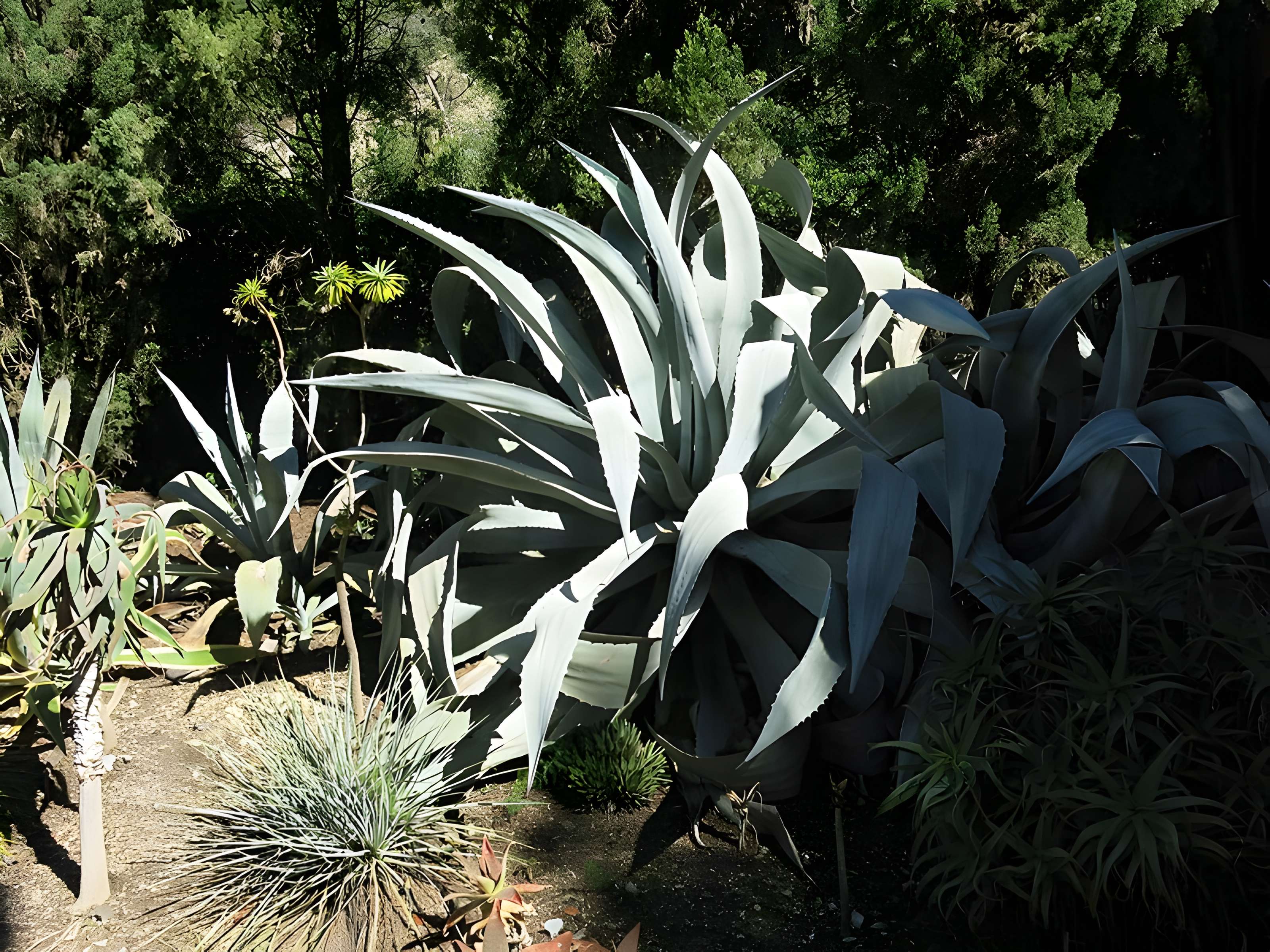 Domaine des Colombières