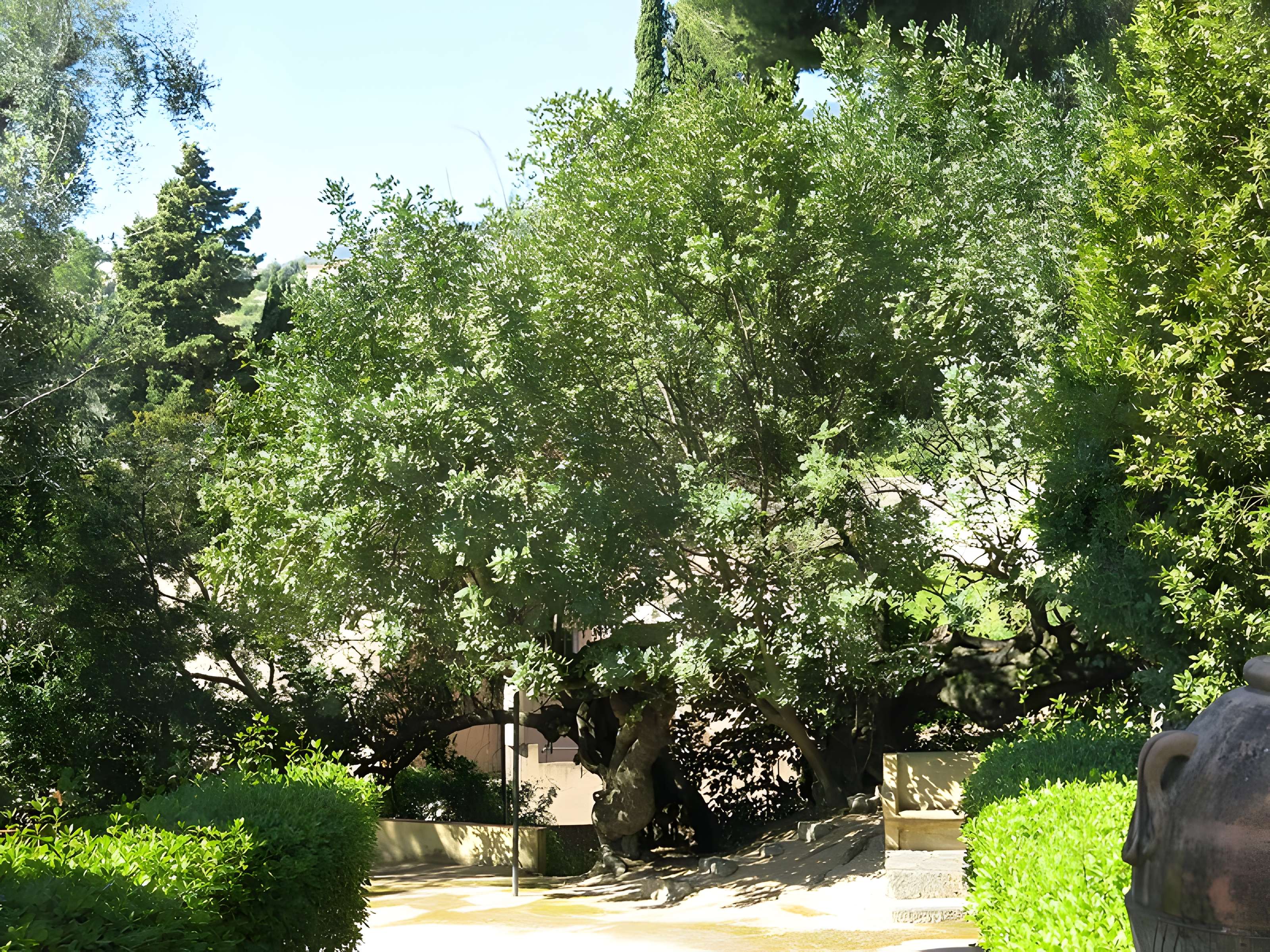 Domaine des Colombières