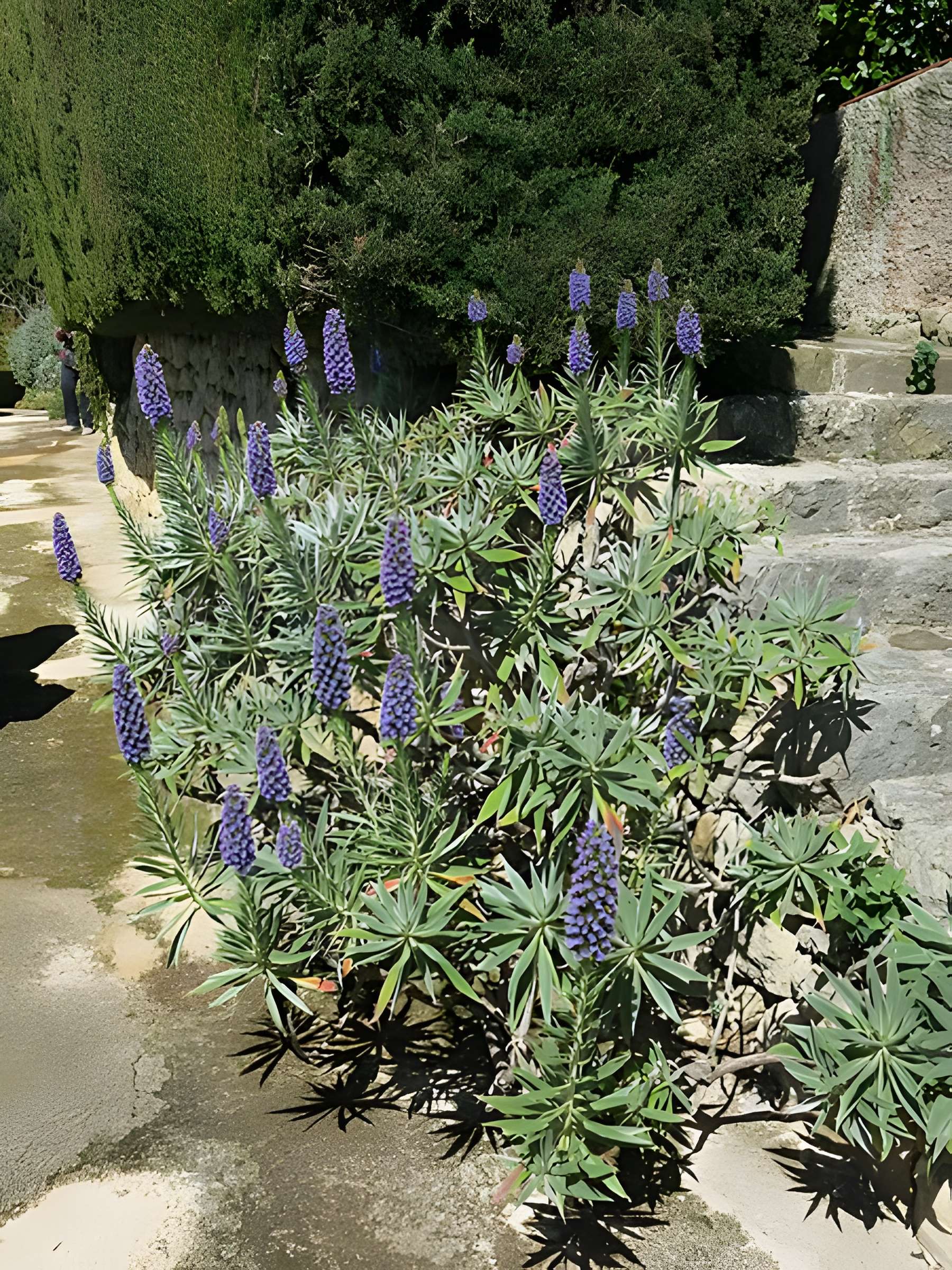 Domaine des Colombières