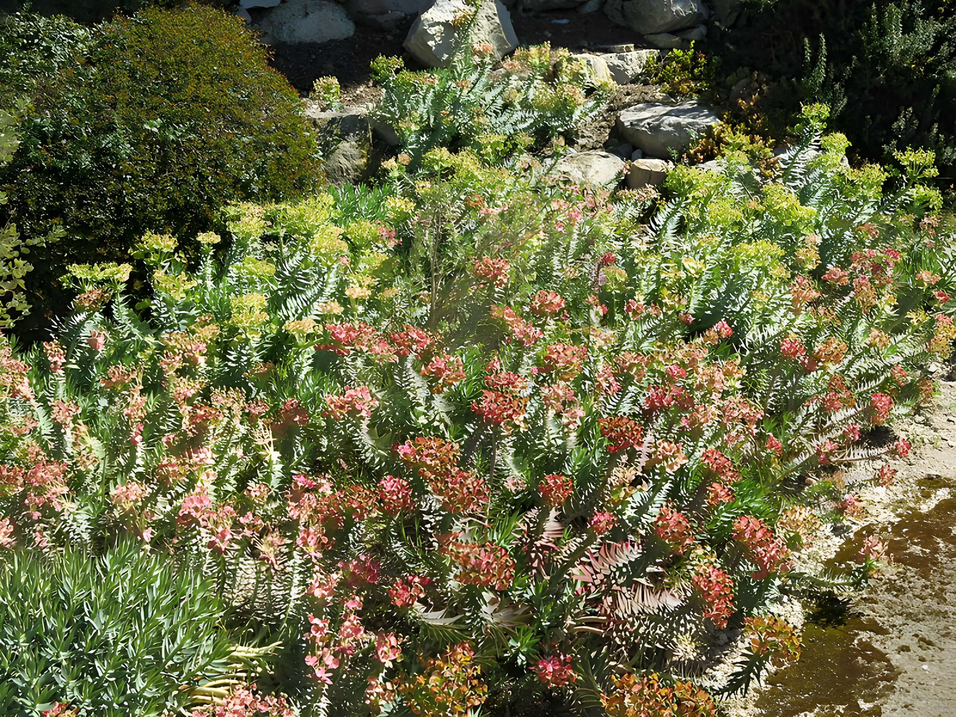 Domaine des Colombières