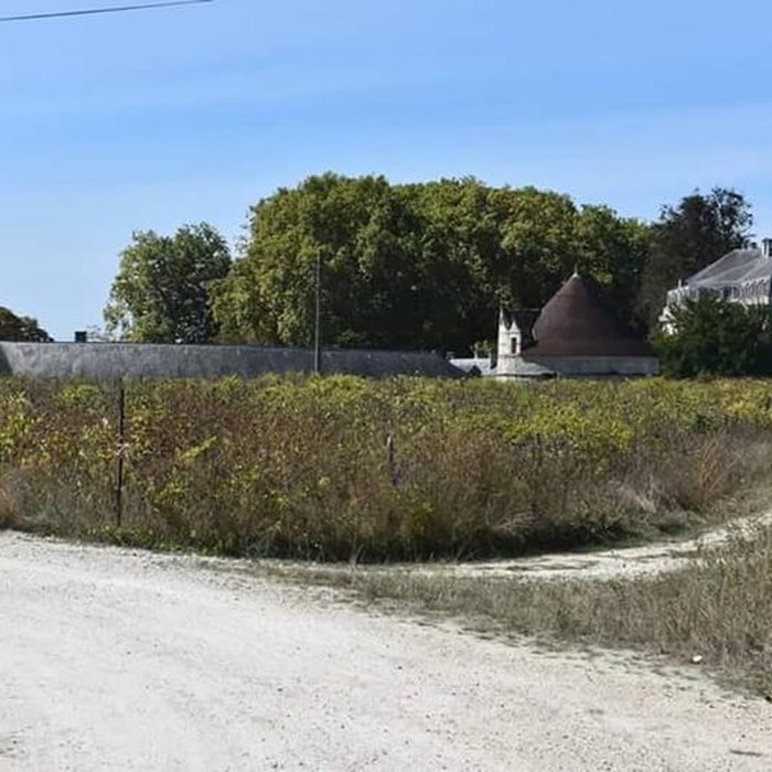 Photo de Château du Bouilh