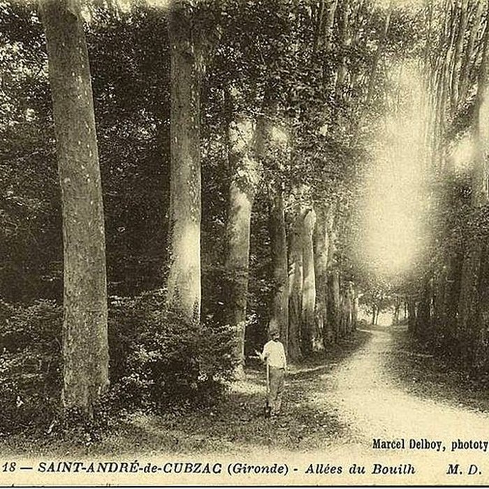 Photo de Château du Bouilh