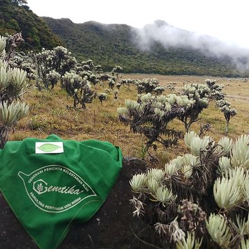 Observatoire dastronomie du Montgros également sur commune de La Trinité