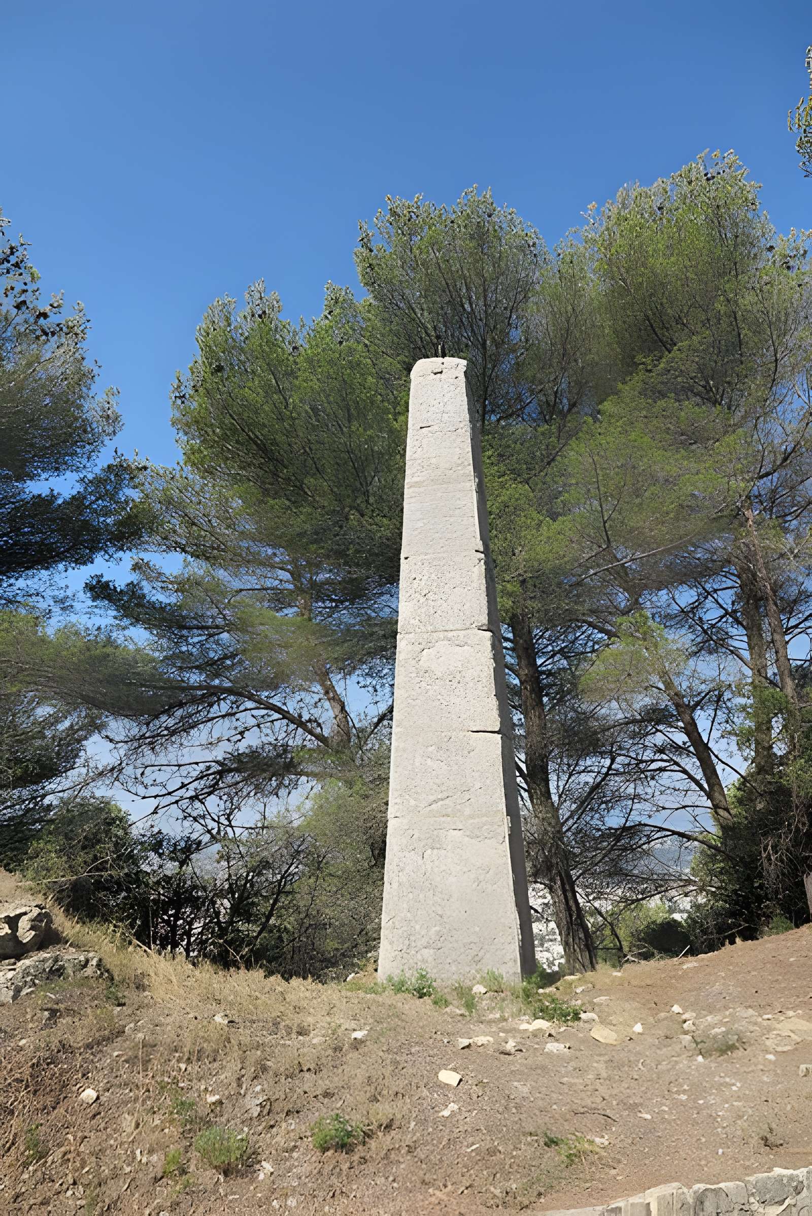 Observatoire d'astronomie du Montgros (également sur commune de La Trinité)