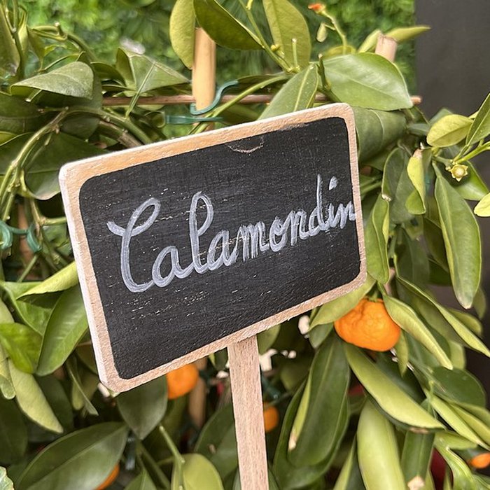 Photo de Palais de la Méditerranée