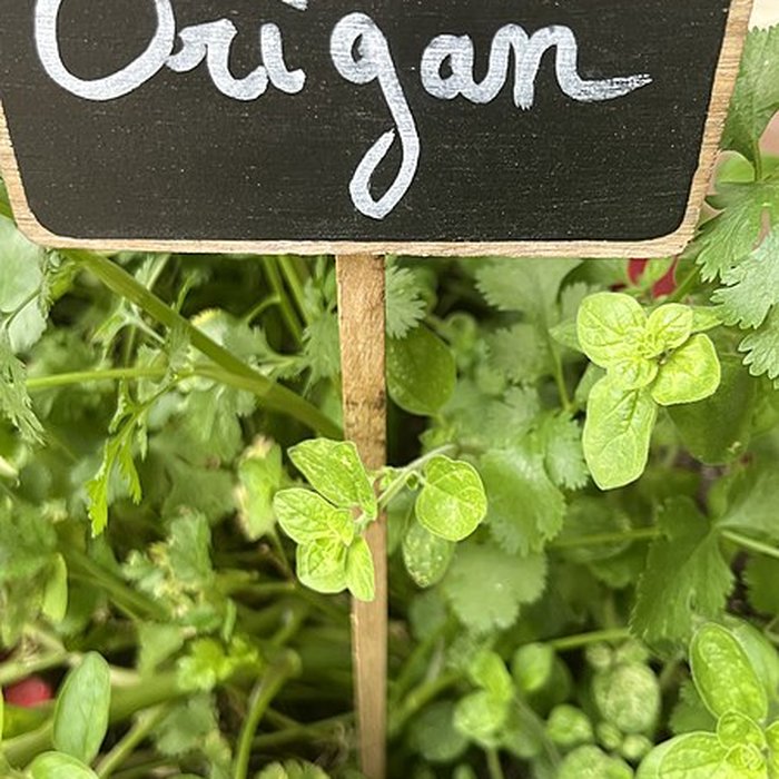 Photo de Palais de la Méditerranée