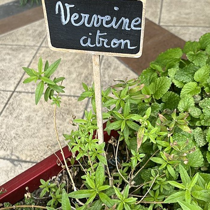 Photo de Palais de la Méditerranée