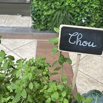 Palais de la Méditerranée