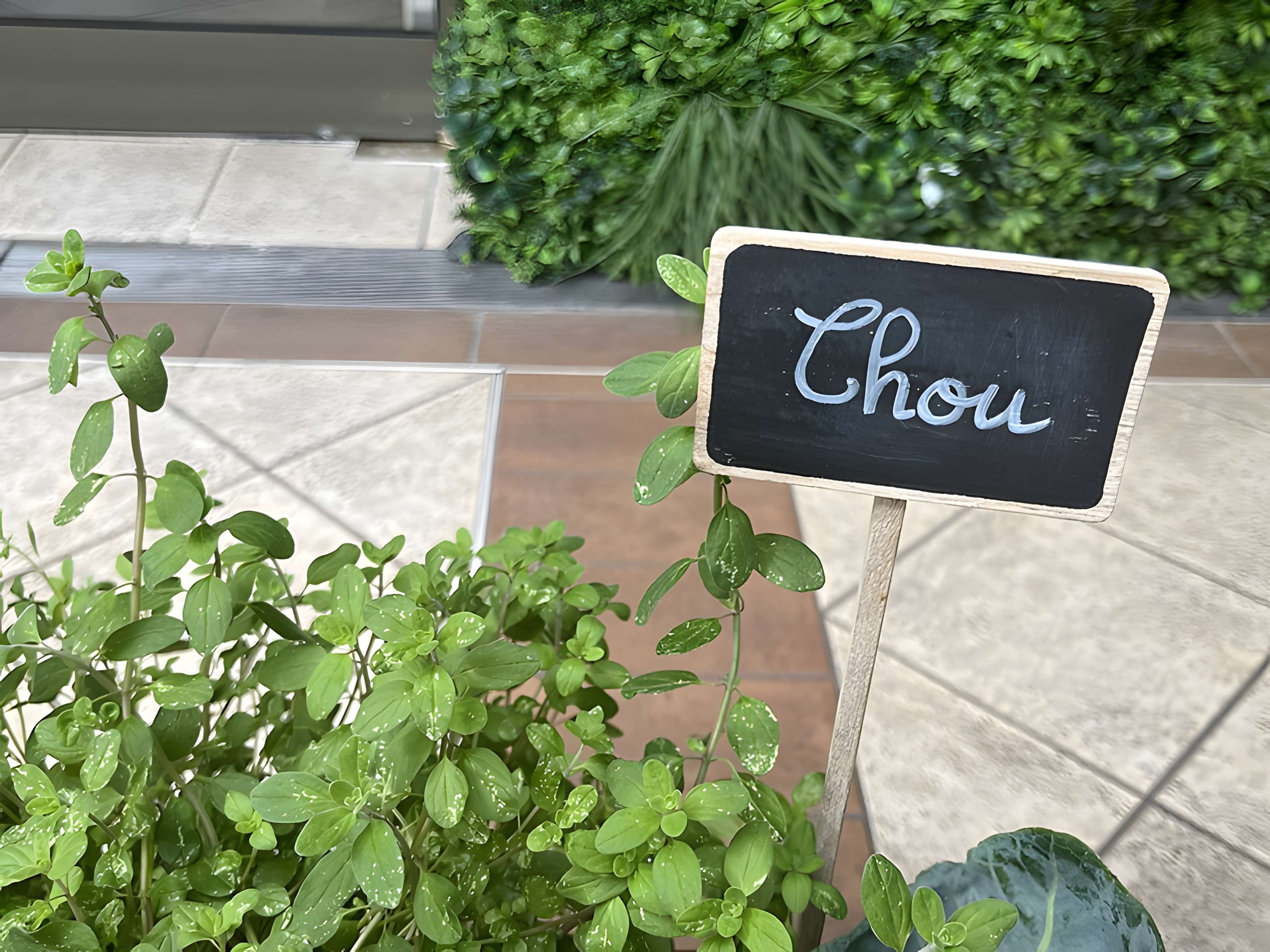 Palais de la Méditerranée